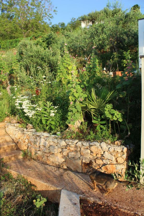 Mary's Garden