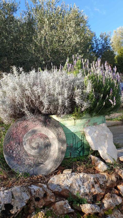 Mary's Garden *