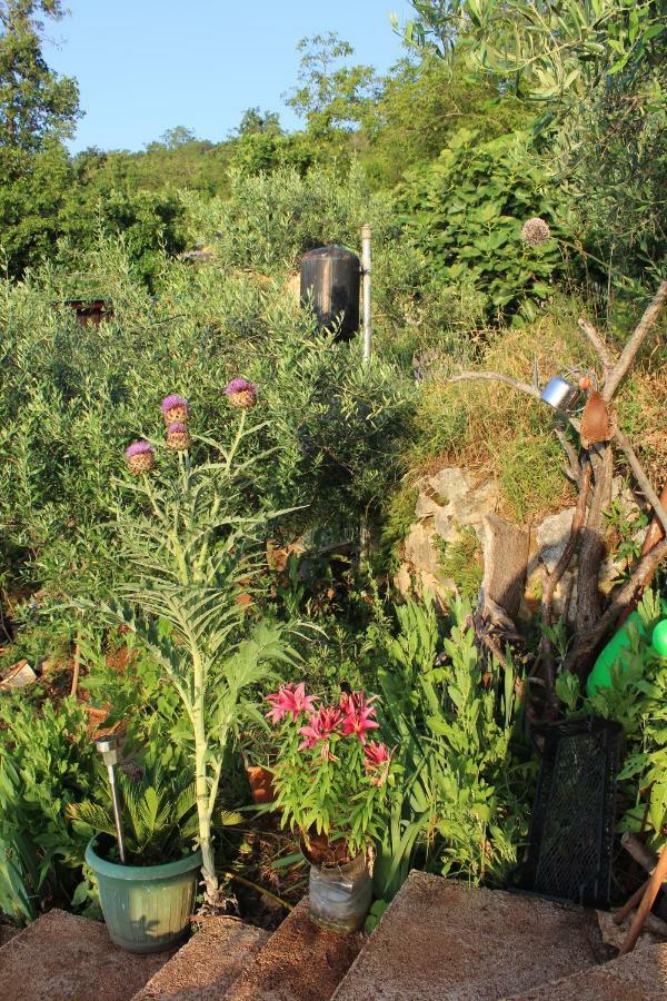 Mary's Garden Hébergement de vacances *